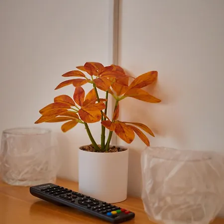 Casa Siaj 招待所 3*